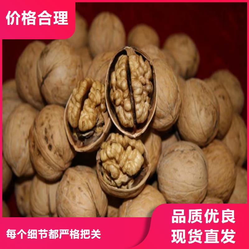 【核桃苗】苹果苗产品细节参数