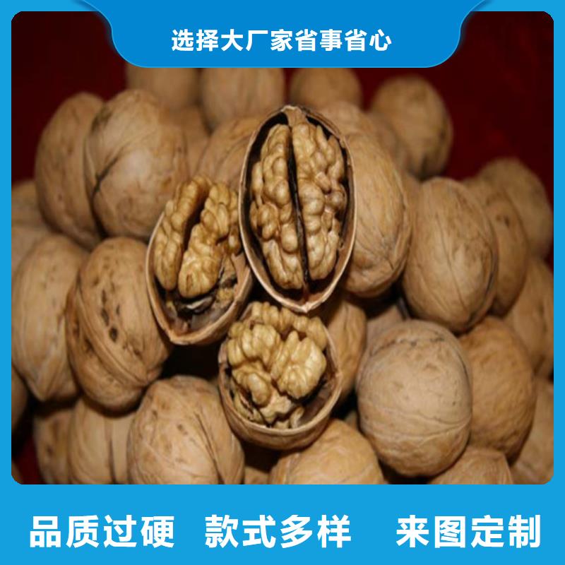 核桃苗莫妮卡西梅树苗发货及时