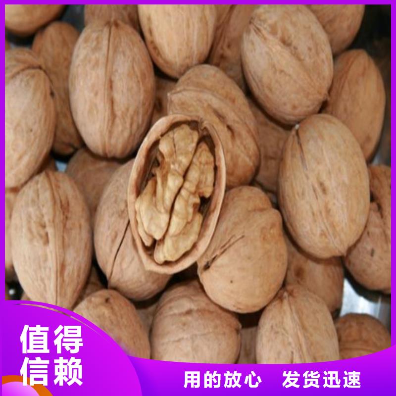 核桃苗大棚草莓苗定金锁价