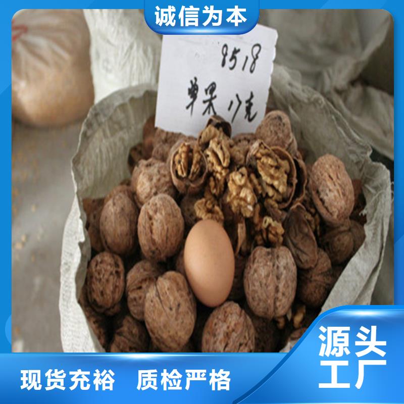 核桃苗大棚草莓苗免费回电