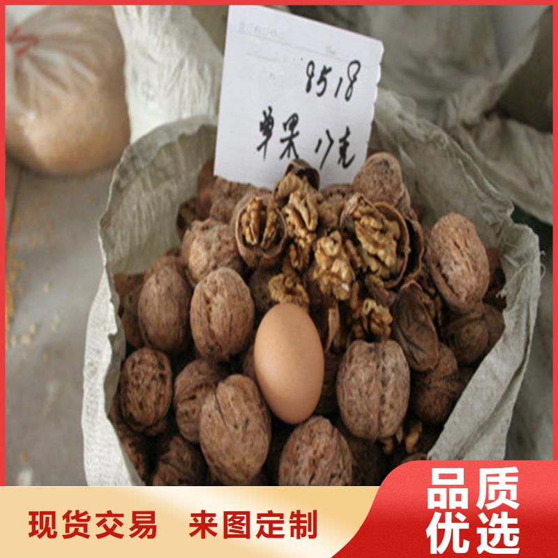 核桃苗_苹果苗基地一站式采购方便省心