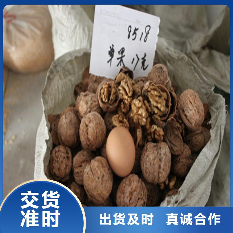 核桃苗梨树苗当地货源