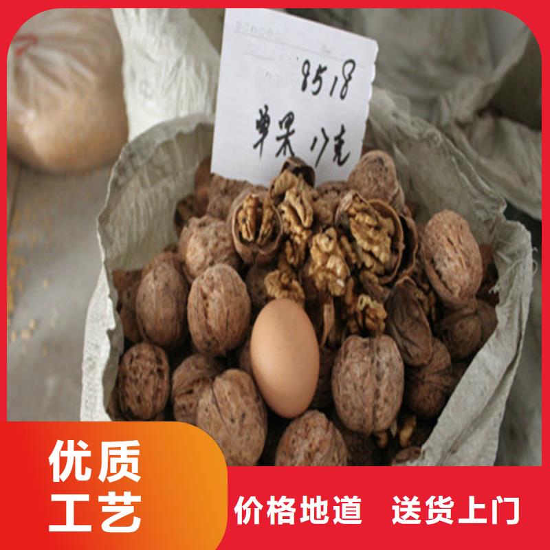 核桃苗-葡萄苗基地产地采购