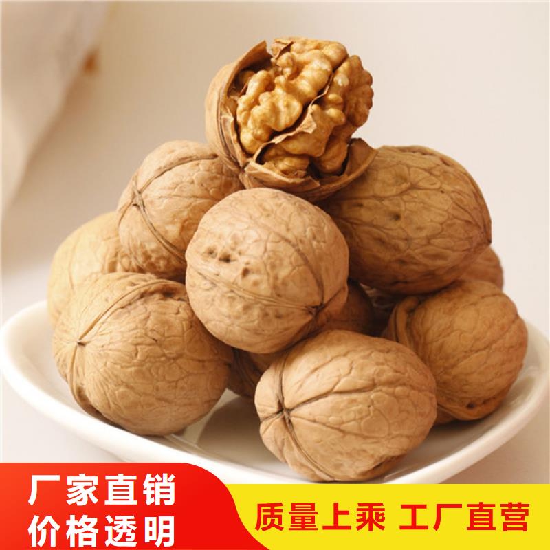 核桃苗-梨树苗基地现货采购