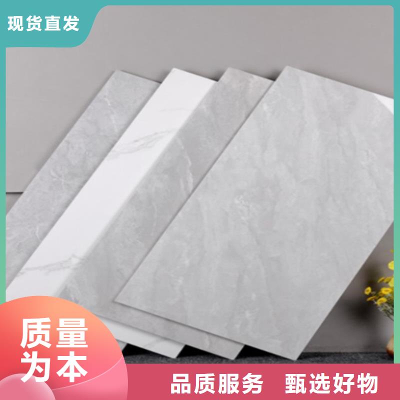 规格齐全的陶土内墙砖供货商