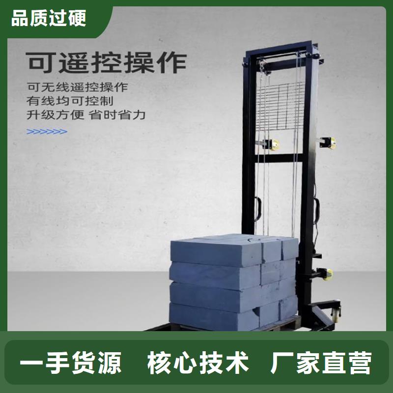 新津加气块上砖升降机品质保证
