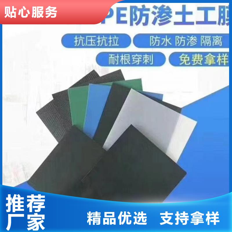 藕池HDPE土工膜
