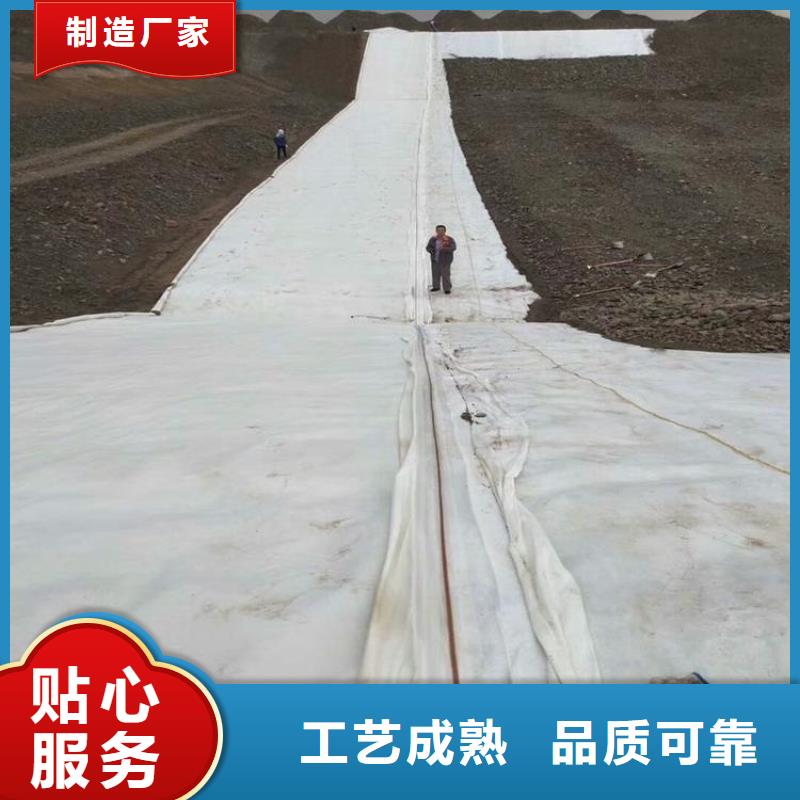 绿色防尘土工布