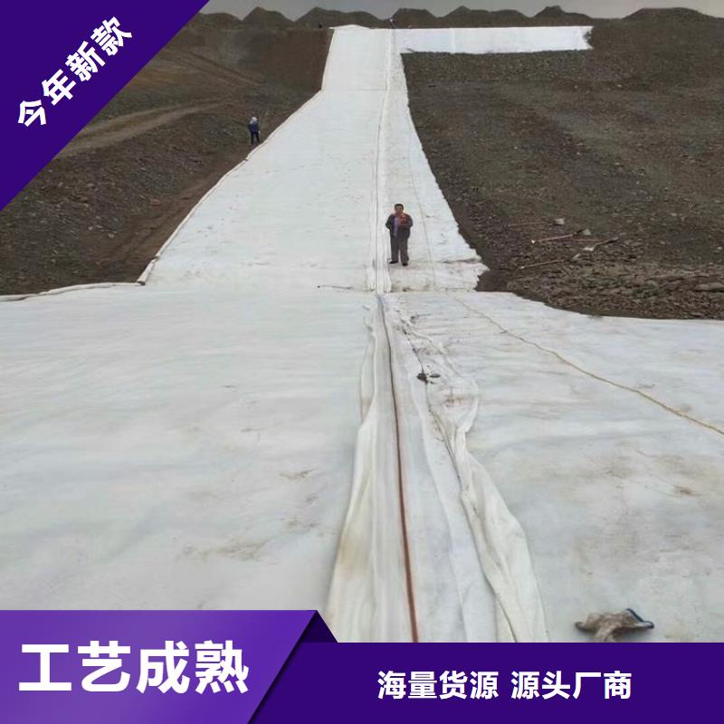 滤水渗水土工布