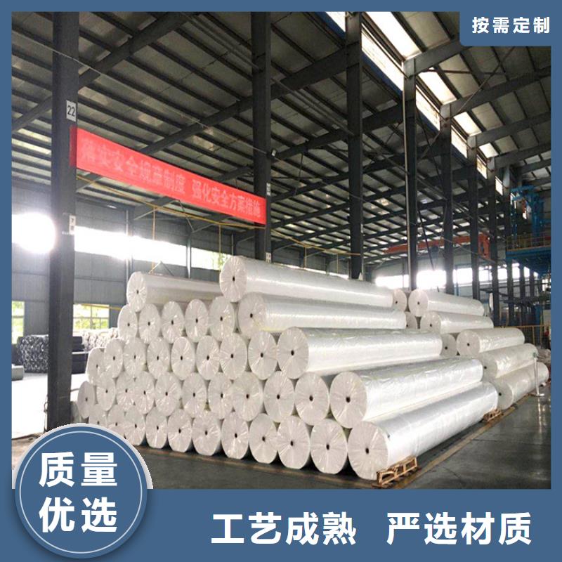 PET聚酯长丝土工布