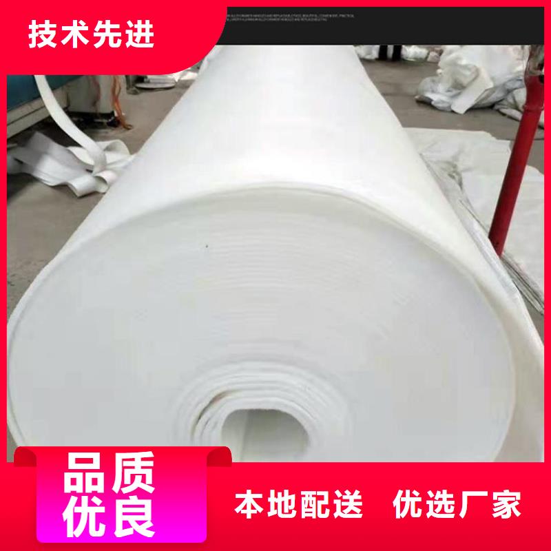 【土工布防渗土工膜质量不佳尽管来找我】