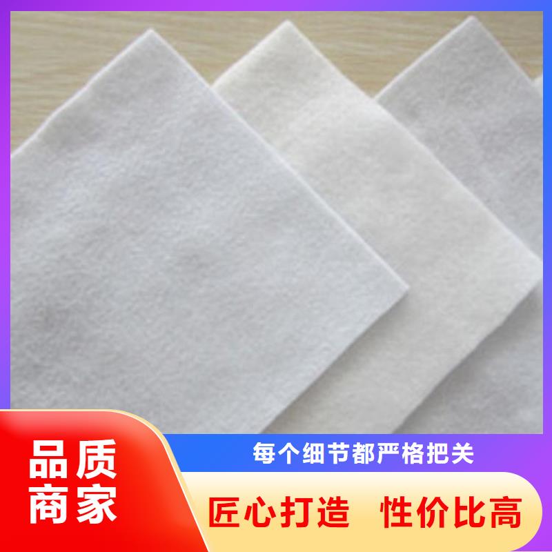 养护防尘土工布