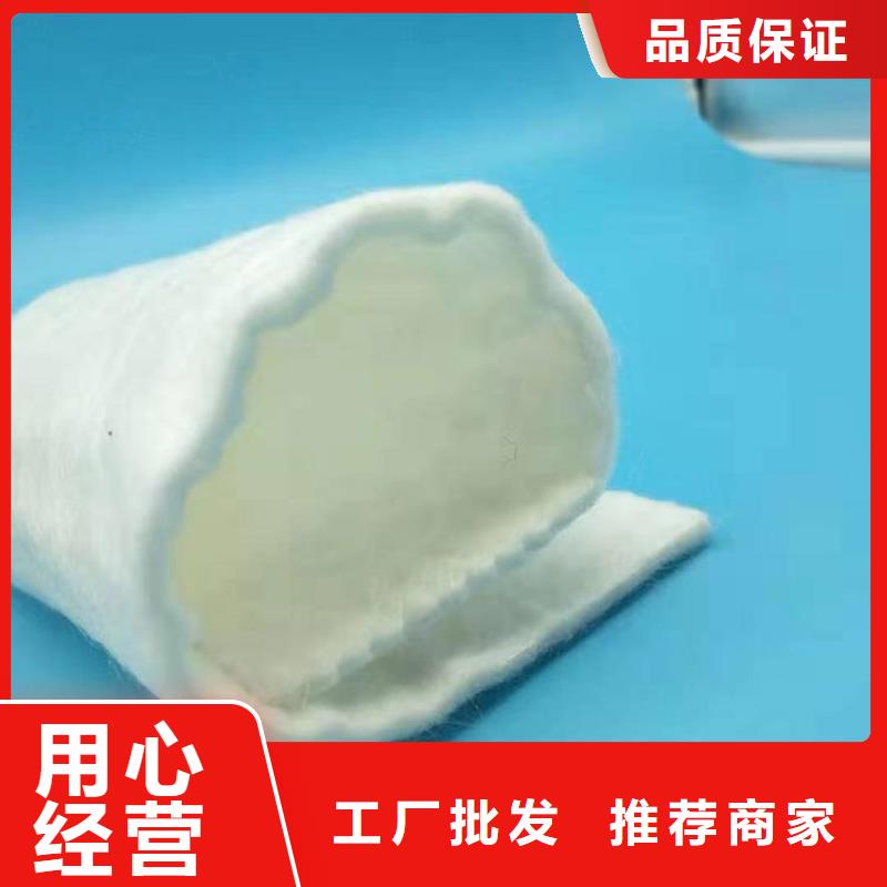 儋州市养护土工布