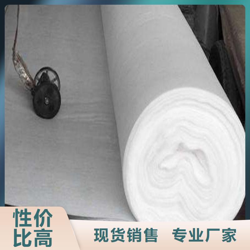 水稳土工布