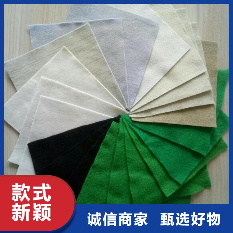 PET聚酯长丝土工布
