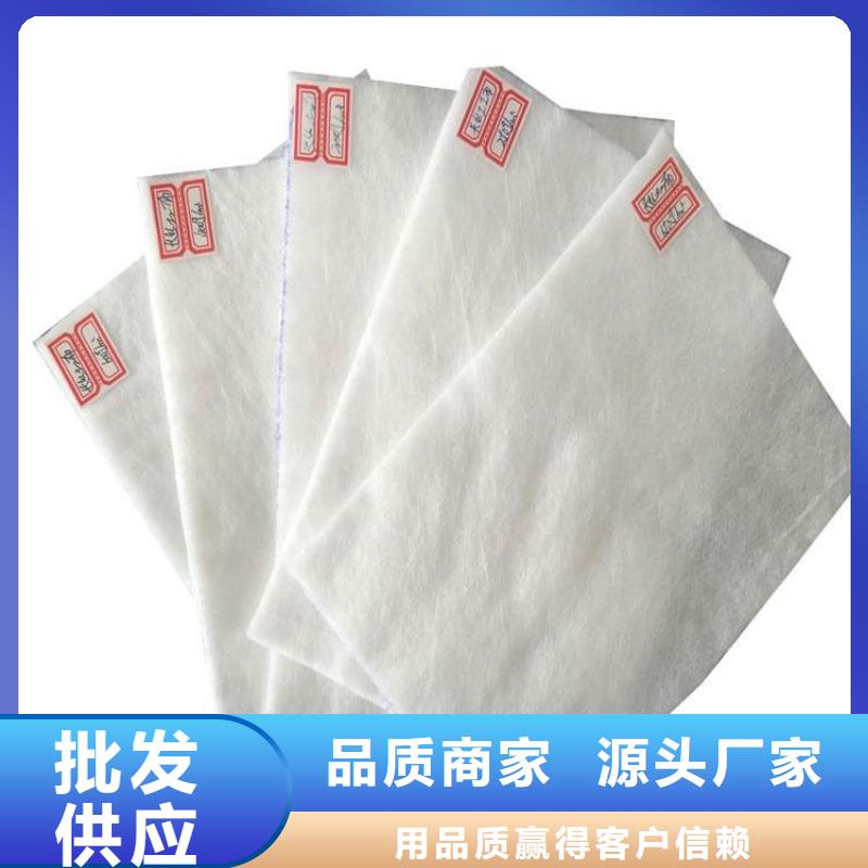 透水滤水土工布