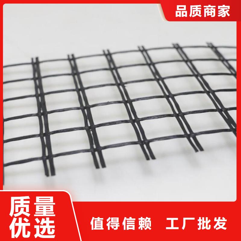 海南东方市钢塑双向土工格栅