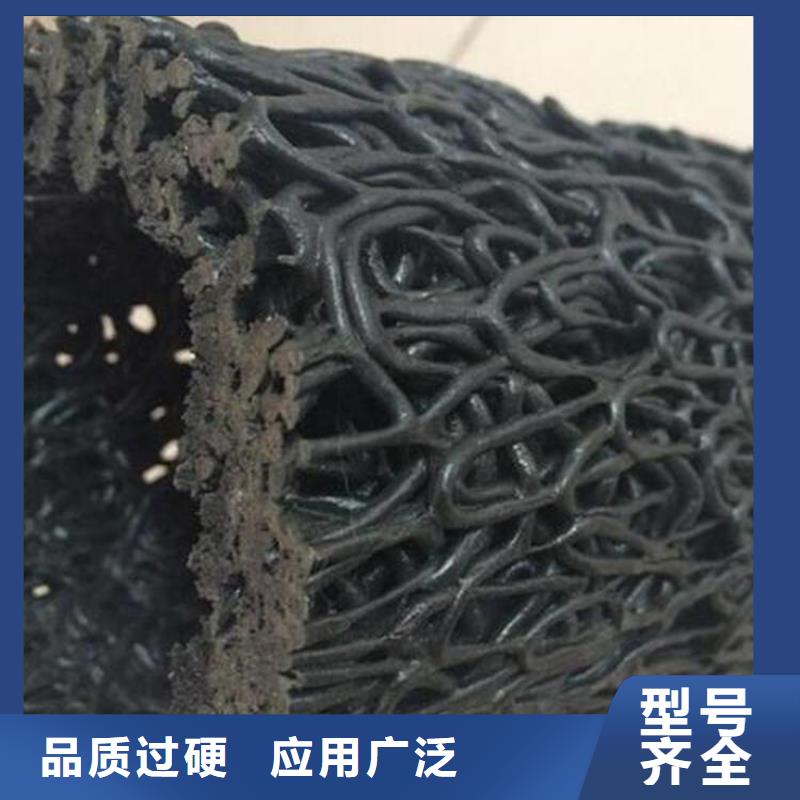 隧道渗水透水盲管
