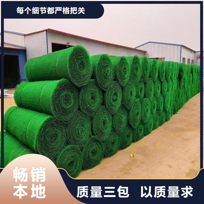 三维植被网_生态袋一站式采购商家