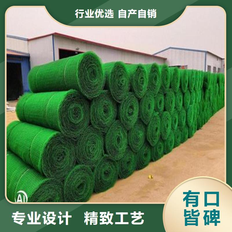 三维植被网生产厂家
