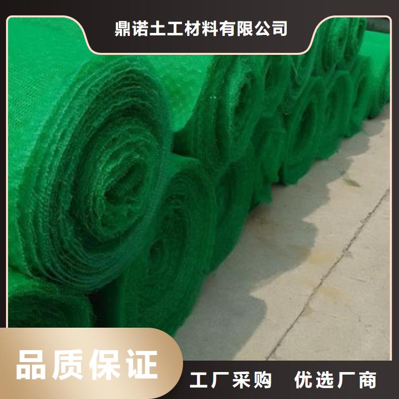 三维护坡植草网尺寸
