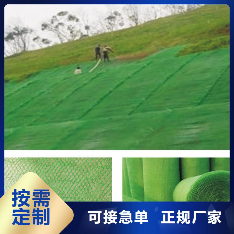 三维植被网价格咨询