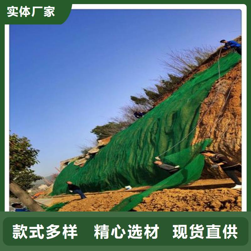 三维植被网土工席产地工厂