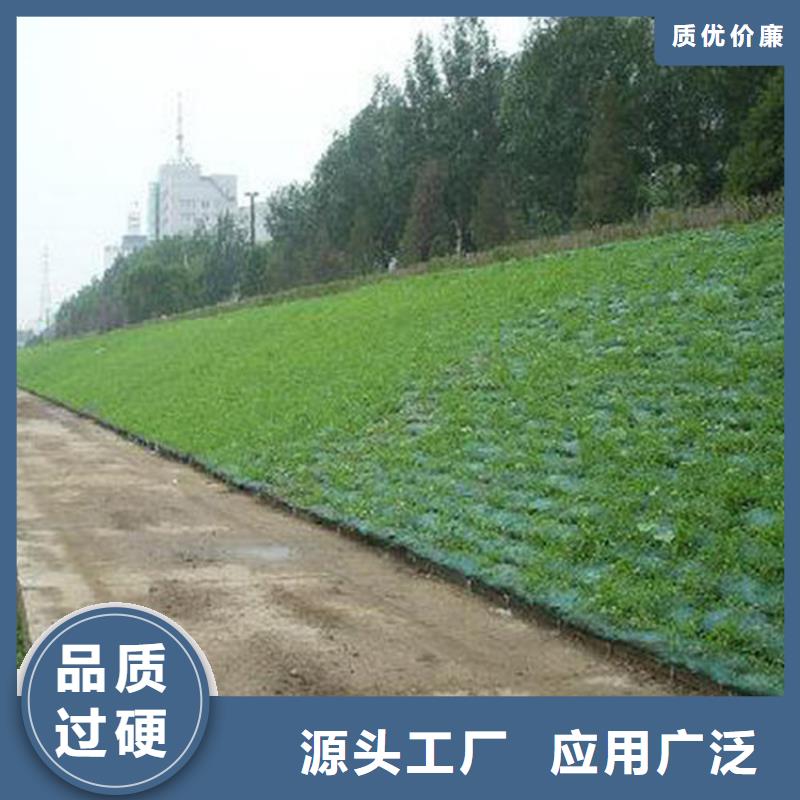 草皮护坡三维土工网垫