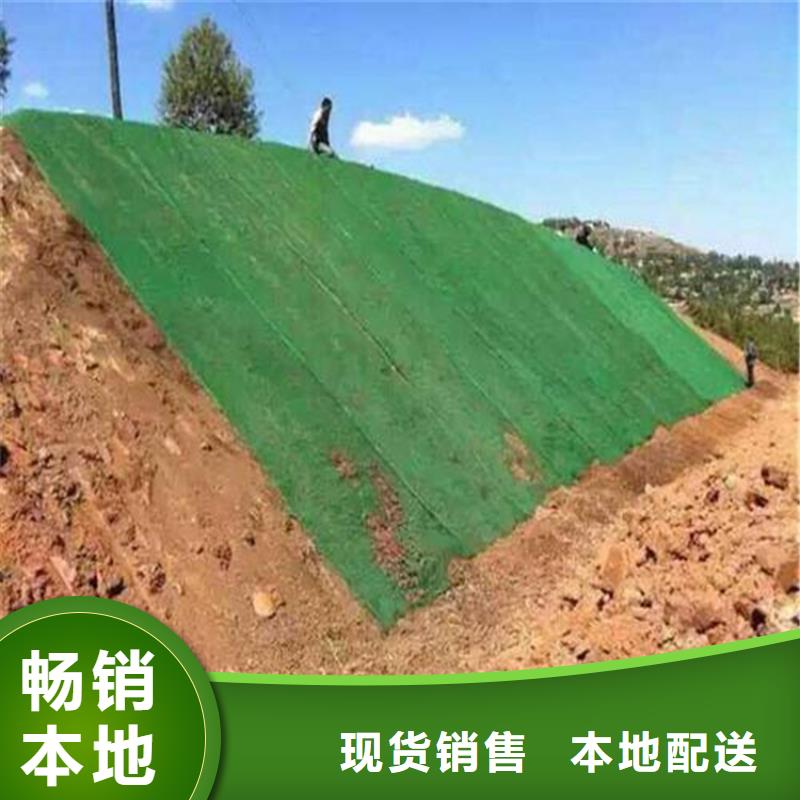 三维植被网经销批发