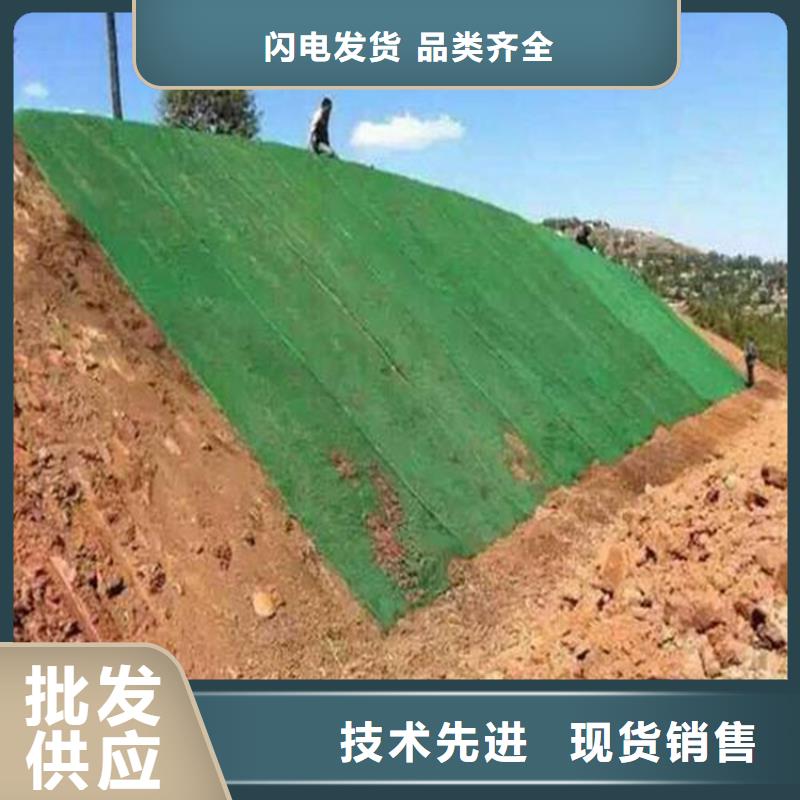 三维固土网垫型号