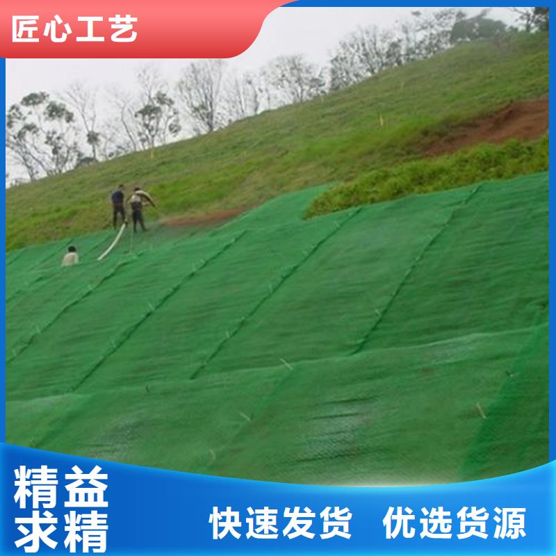 三维植被网土工席产地工厂