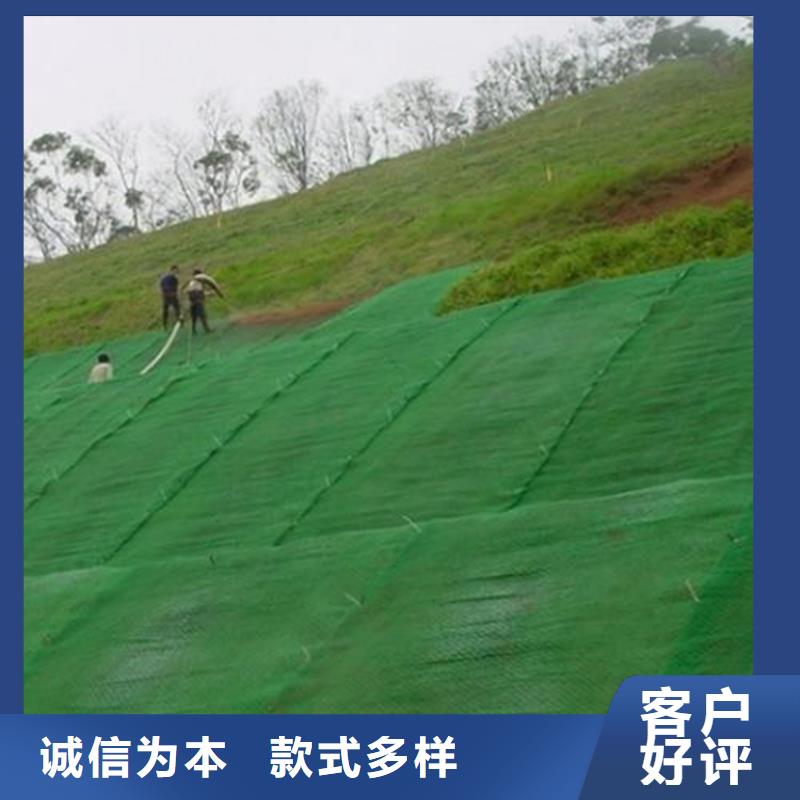 三维固土网垫EM5塑料