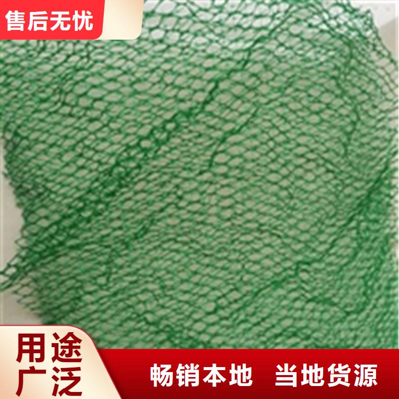 环保绿化三维护坡植草网垫