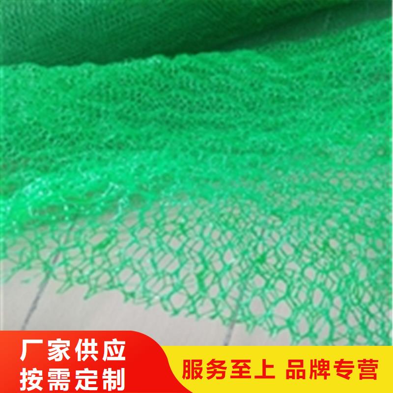 EM4环保三维固土网垫