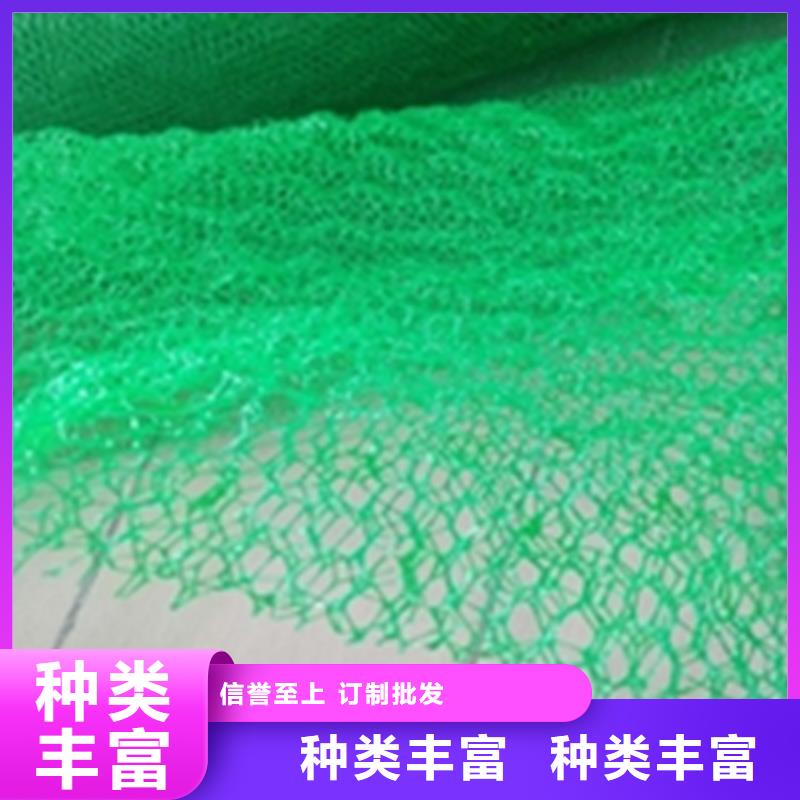 环保绿化三维护坡植草网垫