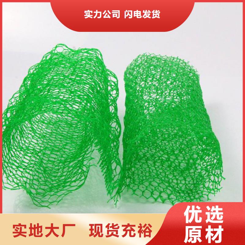 三维植被网土工格栅源头直供