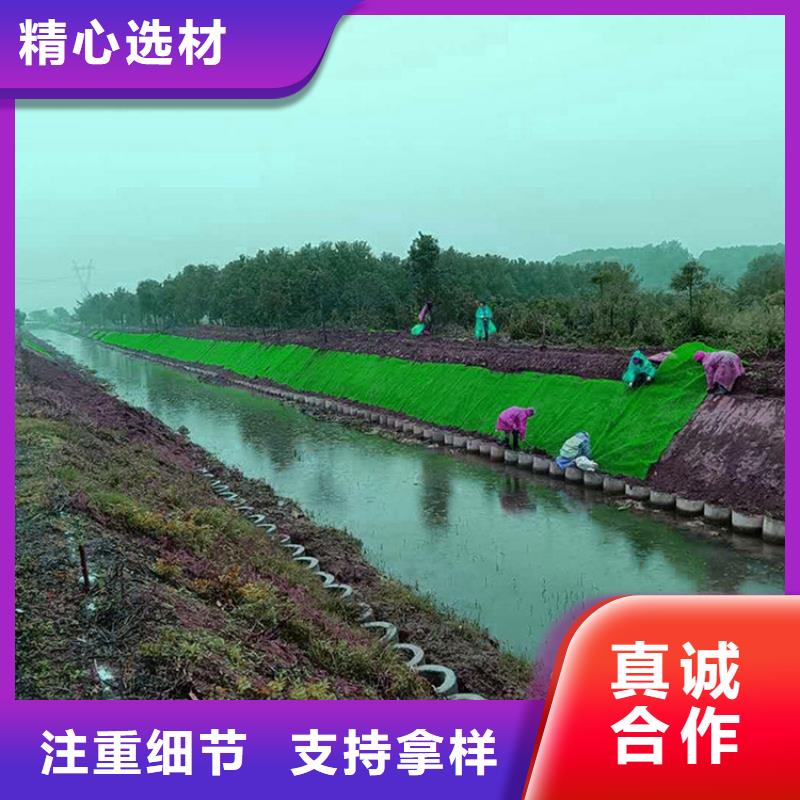 EM5边坡三维护坡植草网垫