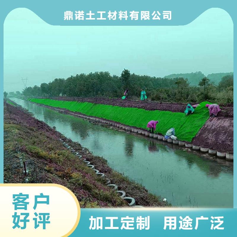 三维植被网土工席产地工厂