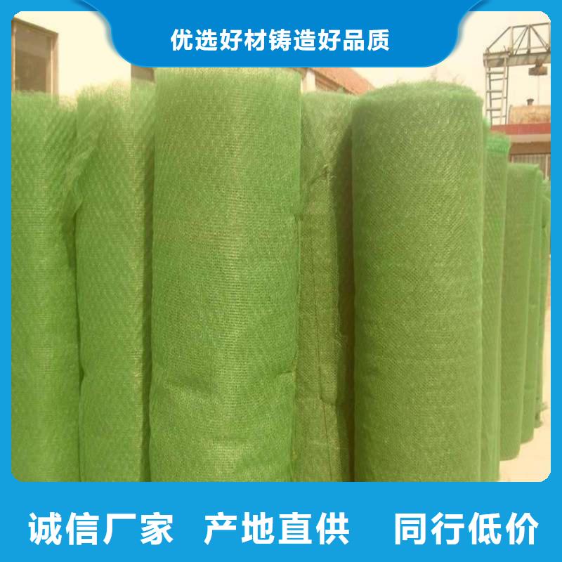 三维植被网施工参数
