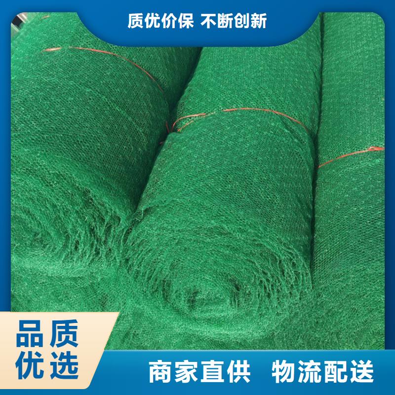 三维植被网_生态袋一站式采购商家