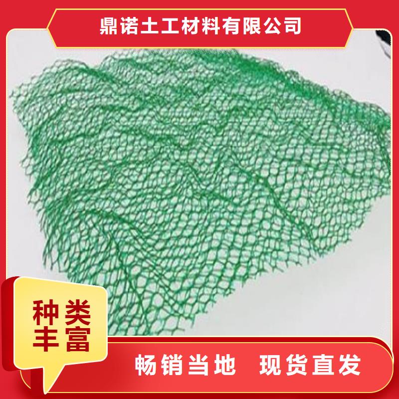 三维植被网生产厂家