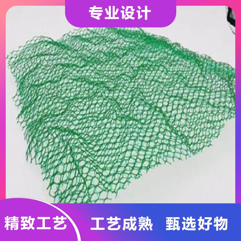 三维植被网防水膜多家仓库发货