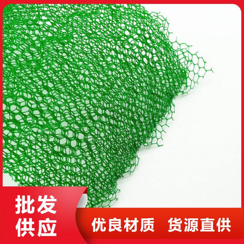 三维植被网土工席产地工厂