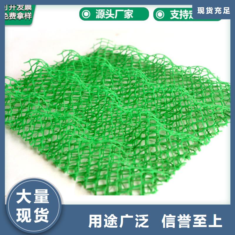 三维土工网垫公司批发