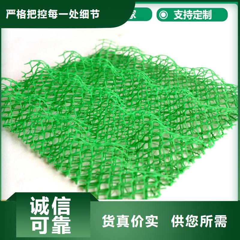 三维固土网垫护坡固土