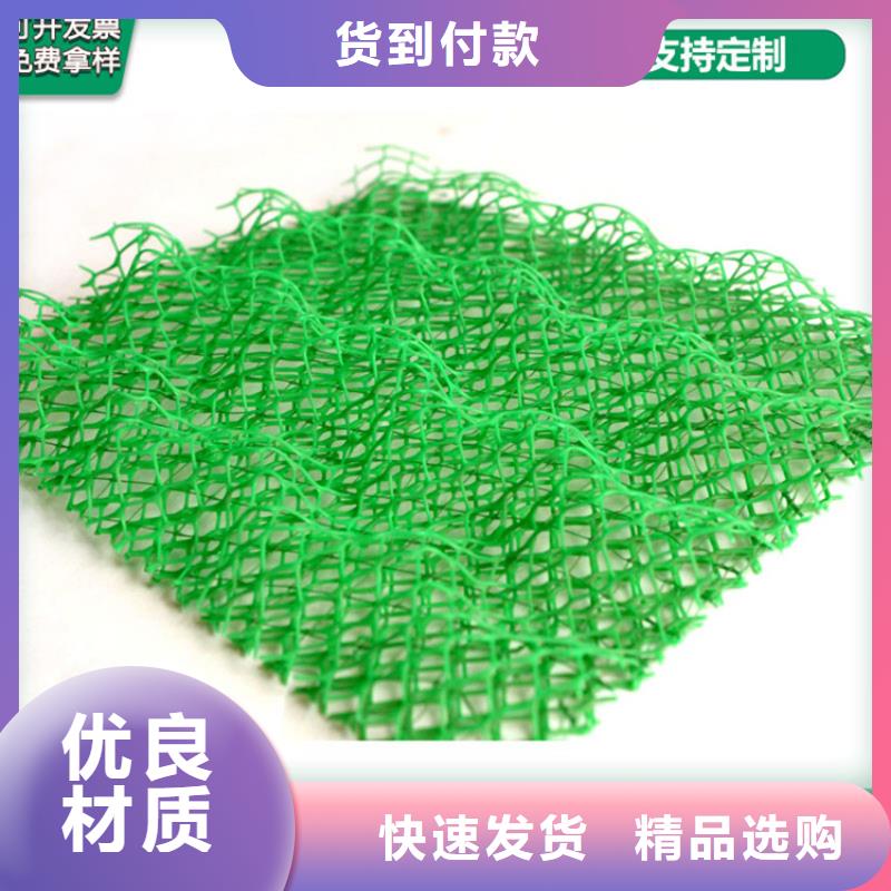 植草三维植被网