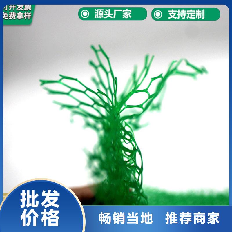 环保绿化三维护坡植草网垫