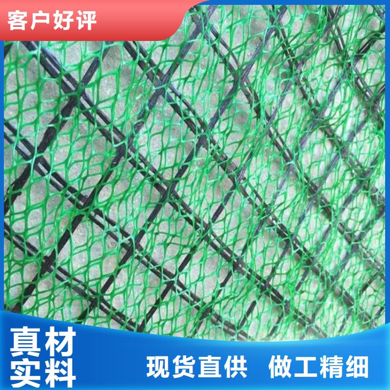 三维护坡植草网尺寸