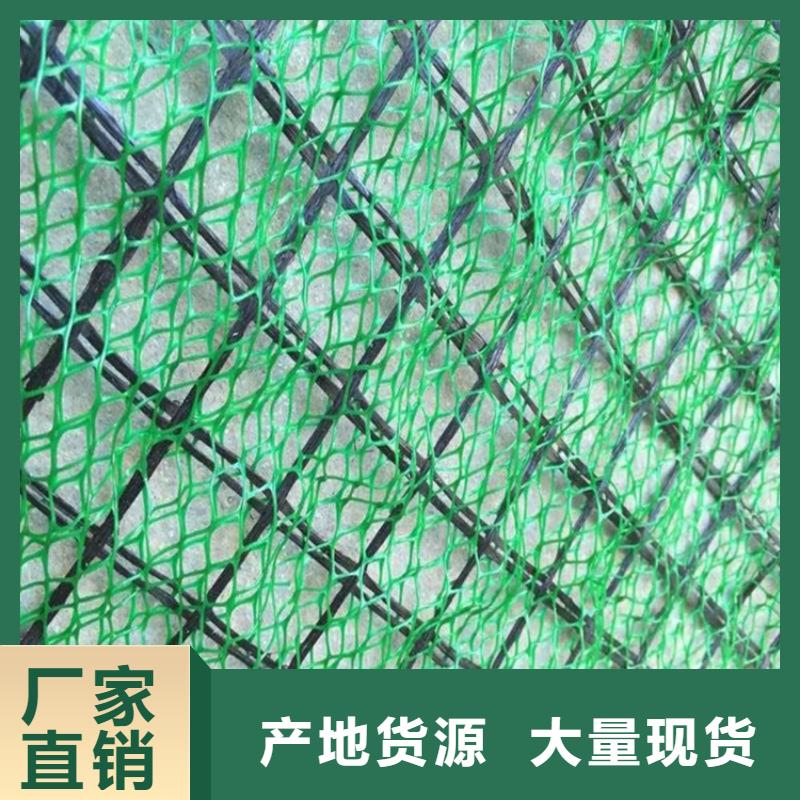 植草三维土工网垫