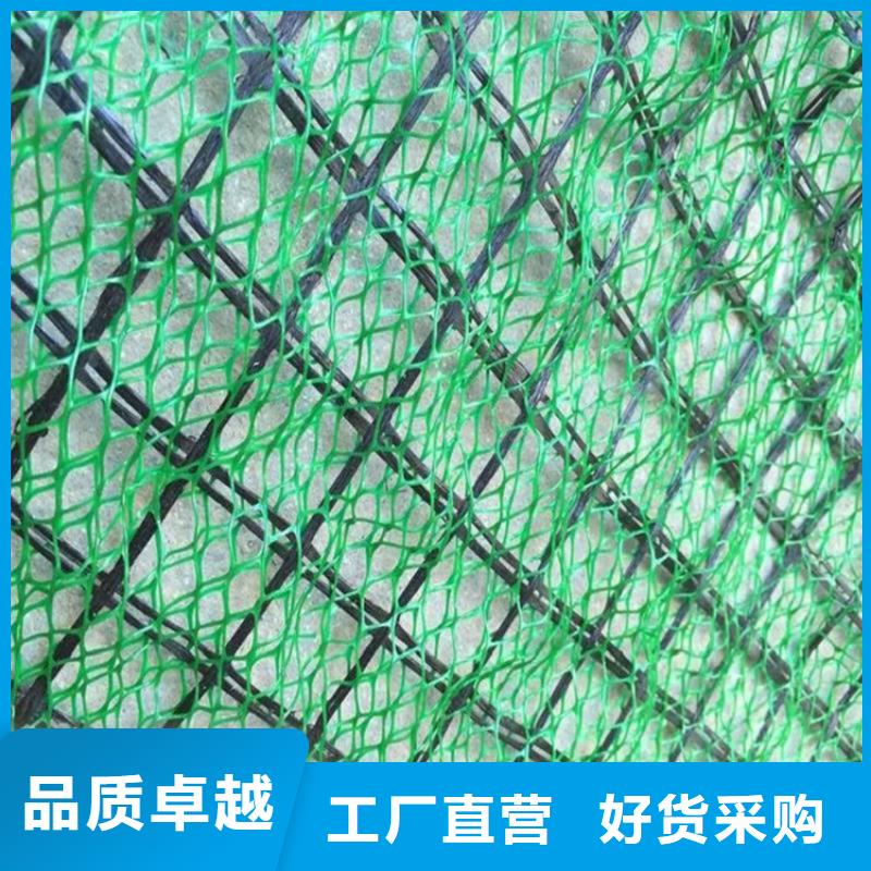 三维植被网土工格栅源头直供
